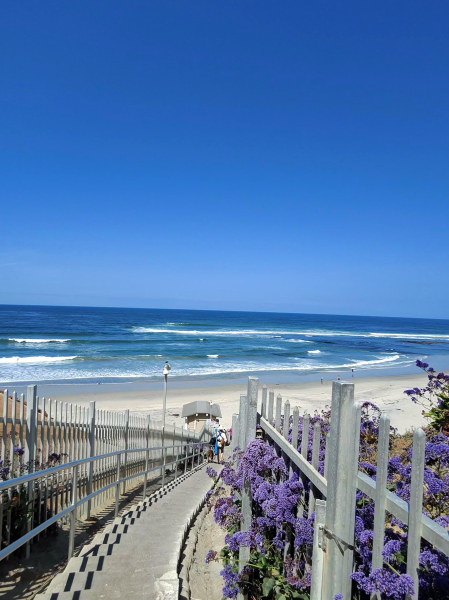 Beach stairs lined with purple statice flowers leading down to blue surf